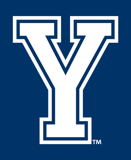 Brigham Young Cougars 2005-Pres Alternate Logo v4 diy iron on heat transfer